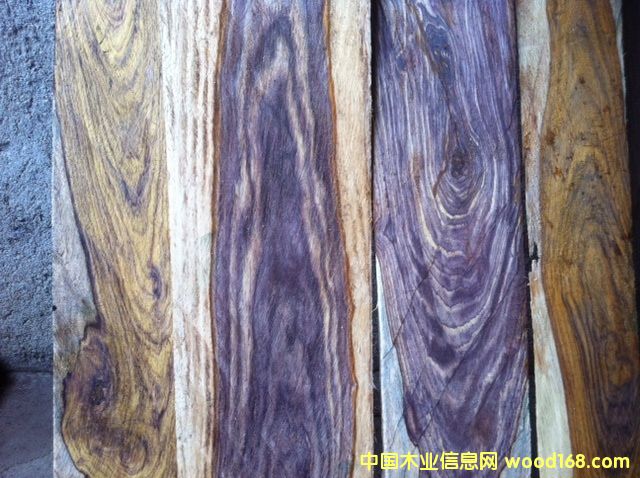 微凹黃檀的詳細(xì)介紹