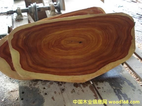 中美黃檀 的詳細(xì)介紹