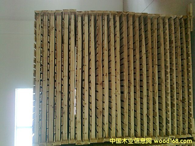 ɼľ�����Ԕ��(x��)��B