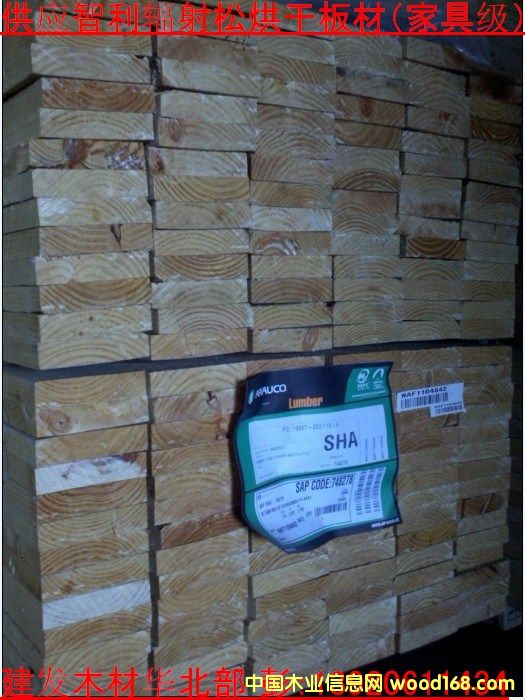 ݗ���ɵ�Ԕ����B