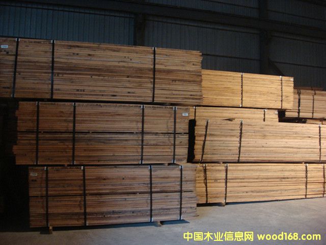 �µ������t��ľ