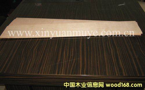 樺木單板 樺木單板