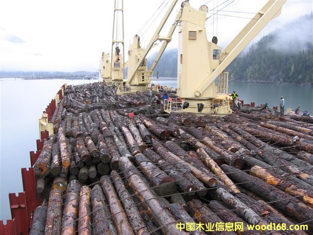 北美原木 北美原木