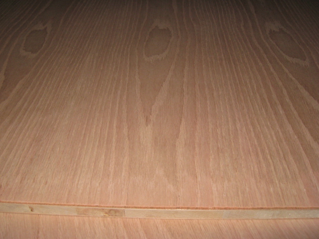 �t��ľ�����Ԕ��(x��)��B