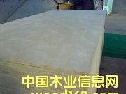 �����T(m��n)�װ��Ԕ��(x��)��B