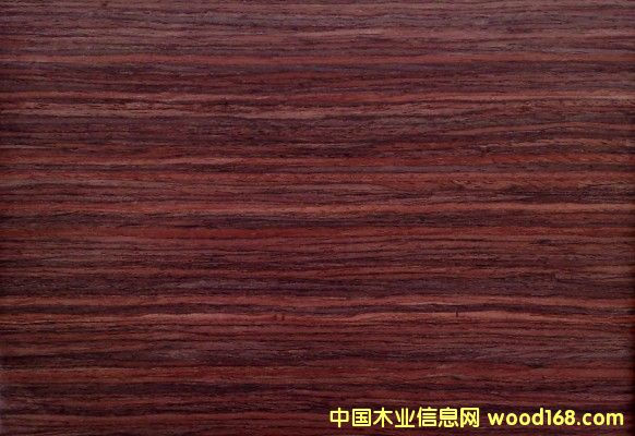 GH5100�oȩ�ቺ�N���z��Ԕ����B