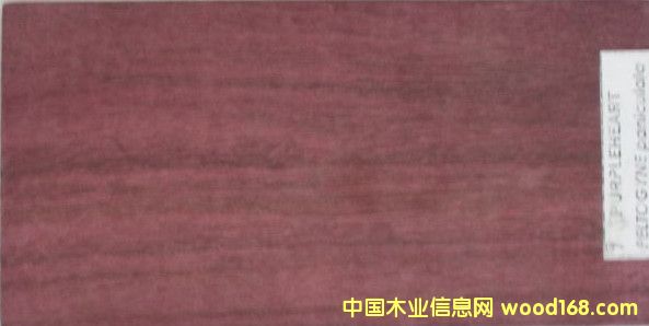 ����ľ��Ԕ����B