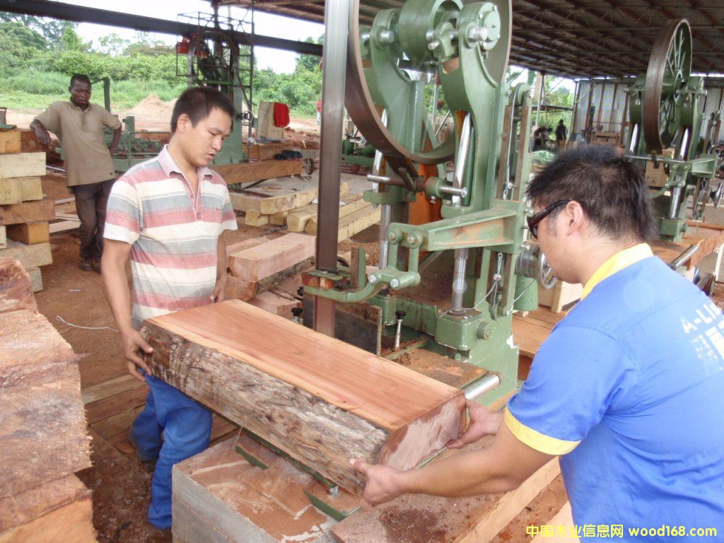 �A�P����Ԕ��(x��)��B