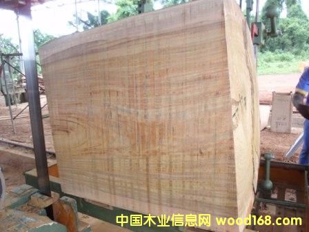 �A�P����Ԕ��(x��)��B