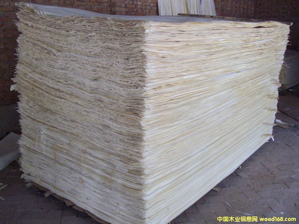 ��ľ�ΰ��Ԕ����B