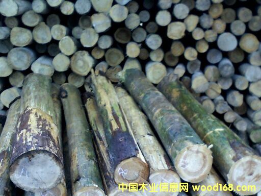 ��ɼ�Aľ��Ԕ����B