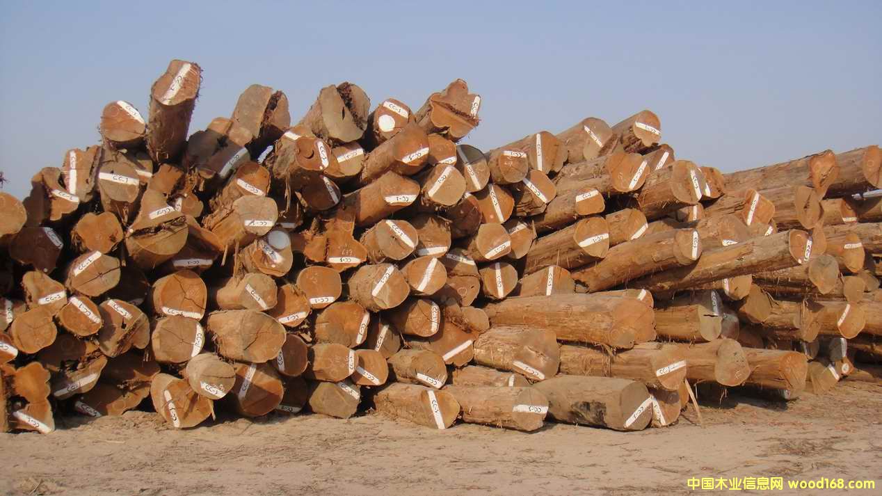 �����ϵ���ľԭľ����ľԭľ��Ԕ����B