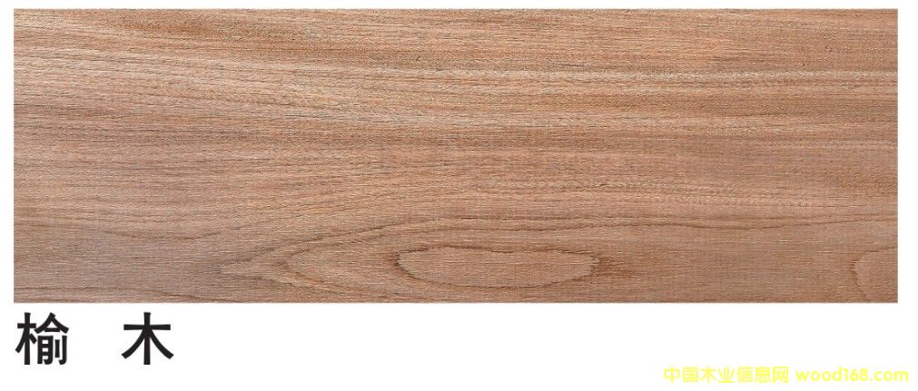 ��ľ��Ԕ��(x��)��B