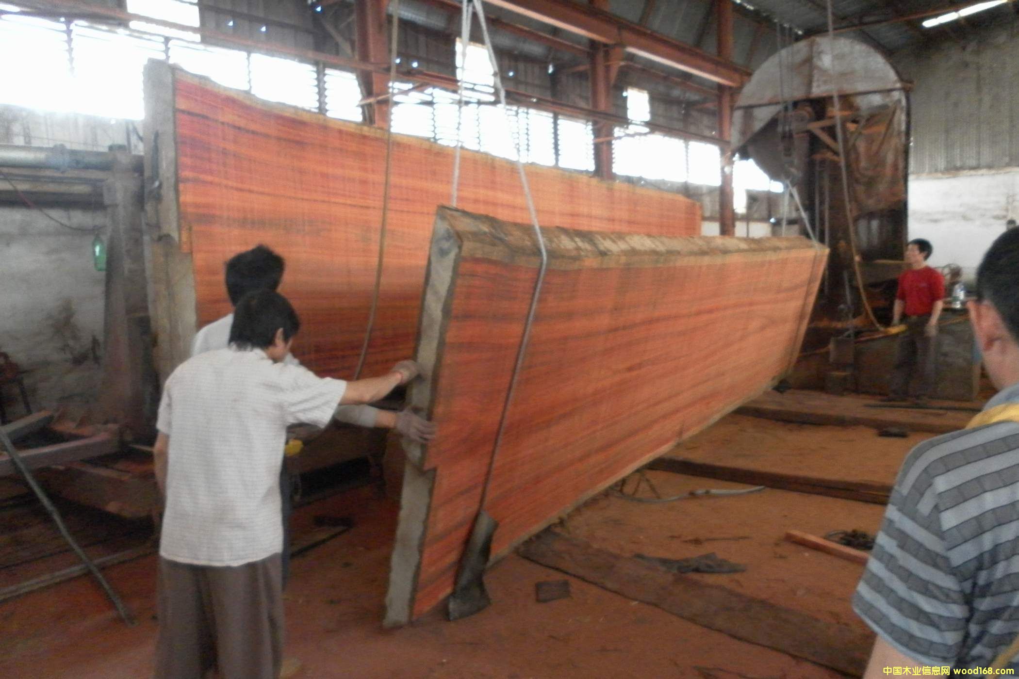 �t��ɼ�����100����