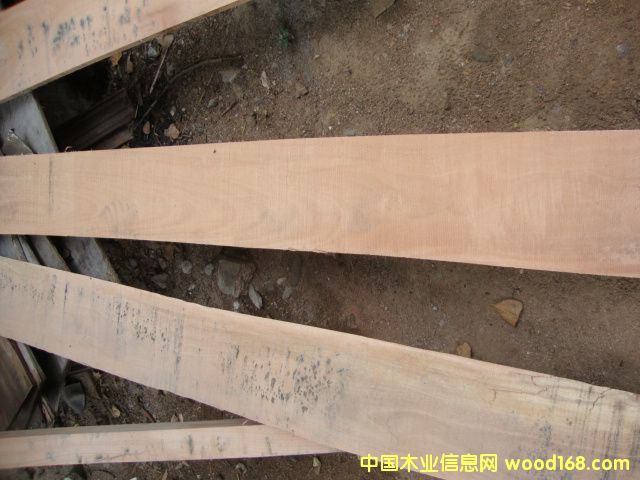 ��(y��u)�|(zh��)�L(zh��ng)�l�ٹ��