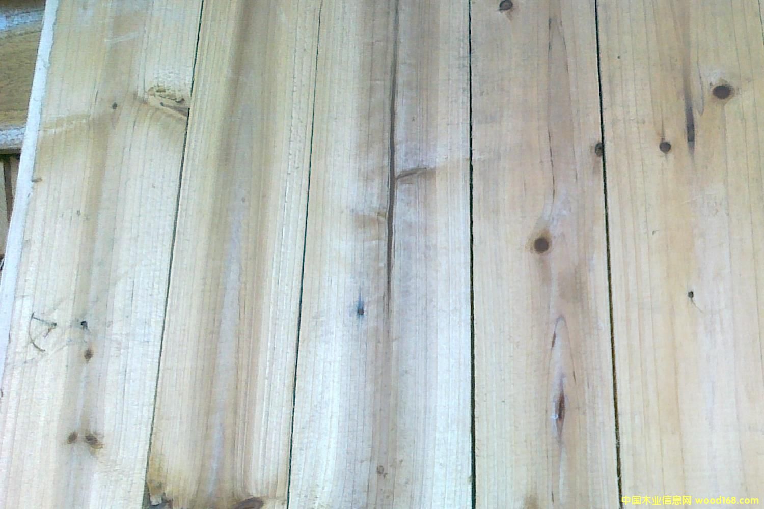 [��] ɼľ�������F�����������S����