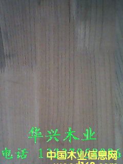 ɽ��ľ.����ľָ�Ӱ��Ԕ��(x��)��B