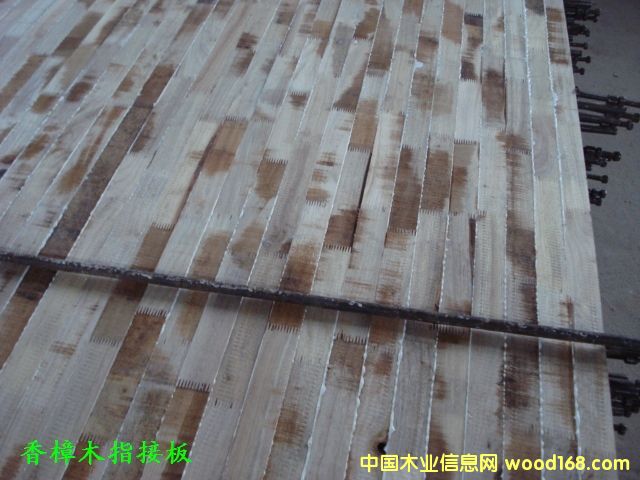 ����ľָ�Ӱ��Ԕ��(x��)��B