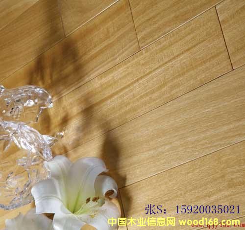 [��] ��̴ �F�Kľ ��������ľ�ذ�