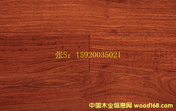 [��] ����ľ ���ӌ�ľ��(f��)�ϵذ�