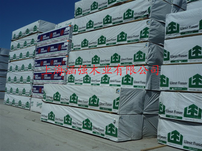 ����SPF��Ԕ��(x��)��B