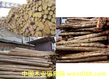 ɼľ���sľ��Ԕ��(x��)��B