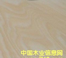 ��ľ��Ƥ��Ԕ��(x��)��B