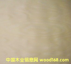 ��ľ�ΰ��Ԕ��(x��)��B