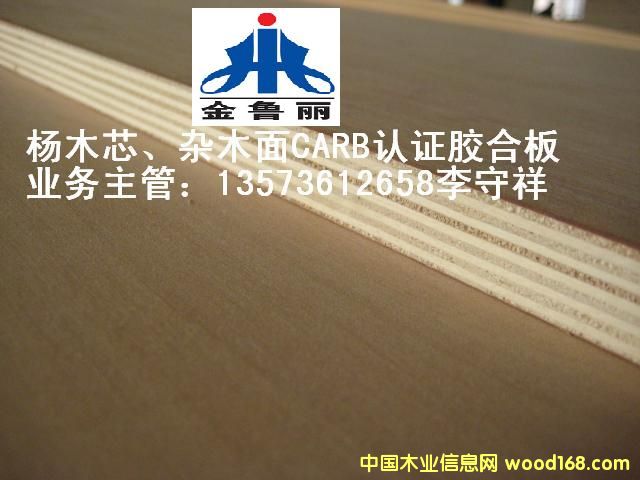 ��о���s��CARB�z�ϰ�