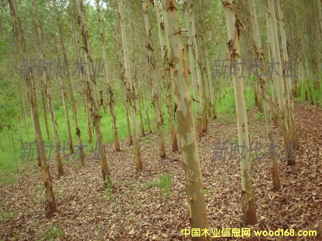 �c���鿴����ֵ�2�Ŵ�DƬ