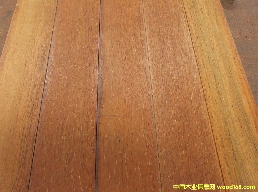 [��] �½����}��ľ���l(f��),�½����}��ľ�ذ�,�½����}��ľ�r��,����ľ�R�в��}��ľ