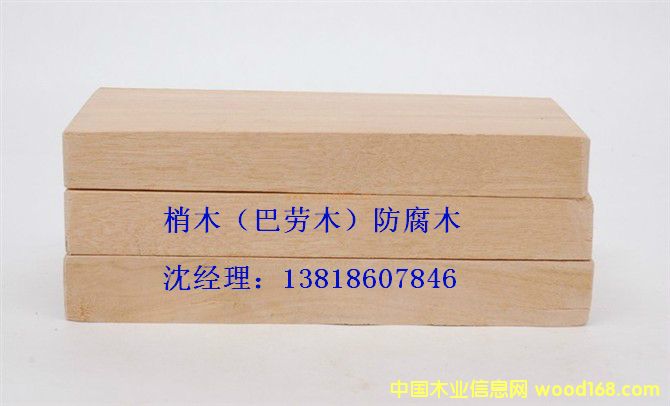 [��] ����(y��ng)��ľ����ľ�r�����t��ľ�r����ľ����ľ�r������ľ���r����