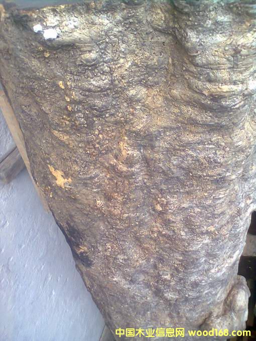 ���黨��ľ����Ԕ��(x��)��B