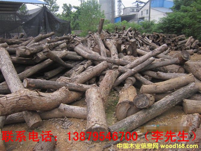 ����ľ��Ԕ��(x��)��B