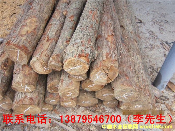 ��ľ��Ԕ��(x��)��B