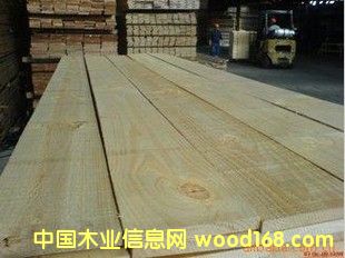 [��] �o��(ji��)��ľ_�o��(ji��)��ľ���l(f��)_�o��(ji��)��ľ����(y��ng)