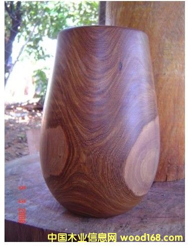 ����͢ţ��ľ