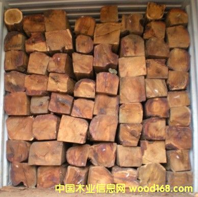 尼日利亞亞花梨木方 尼日利亞亞花梨木方