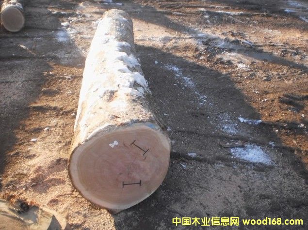 羅馬尼亞白橡鋸材ABC級 羅馬尼亞白橡鋸材ABC級