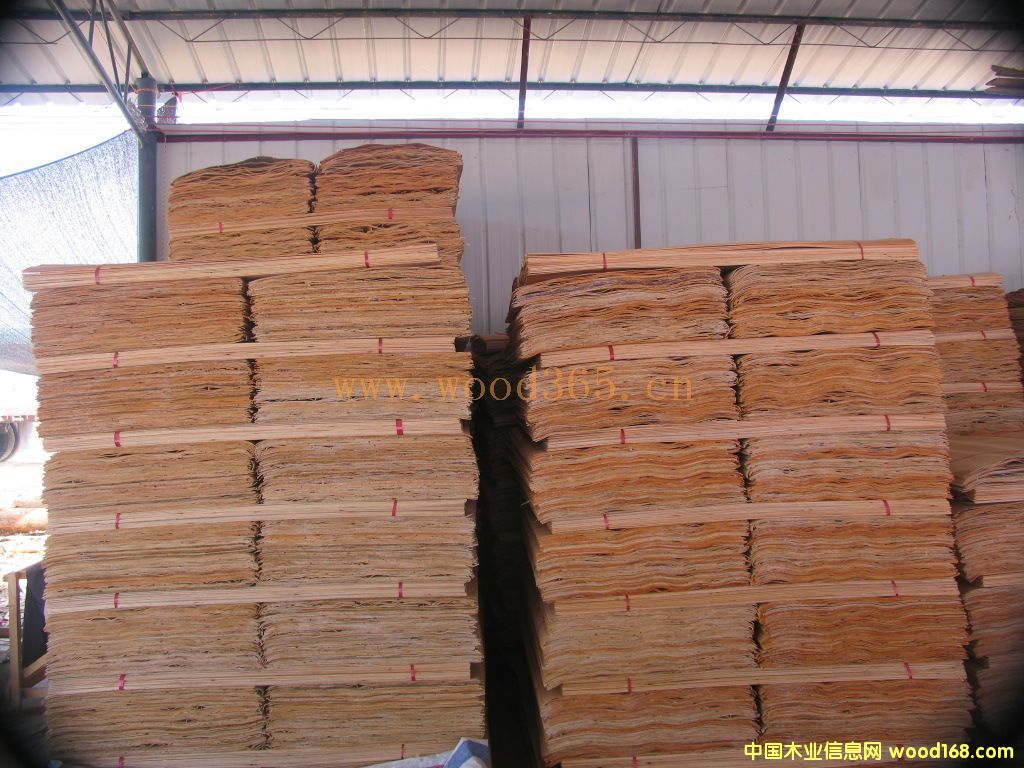 һ�����Ԕ����B