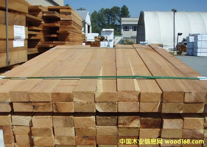 �tѩ�ɽ�(j��ng)�����^����Ԕ����B