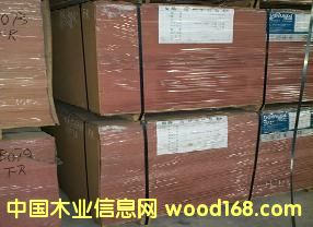 ��ȼ�ܶȰ��Ԕ��(x��)��B