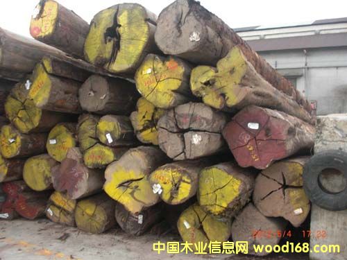 ������ľ/�u��ľ