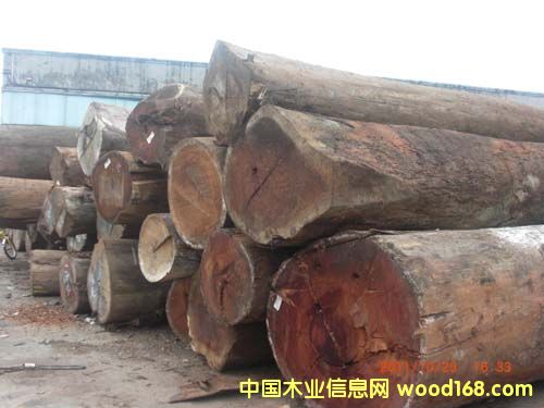 �������}��