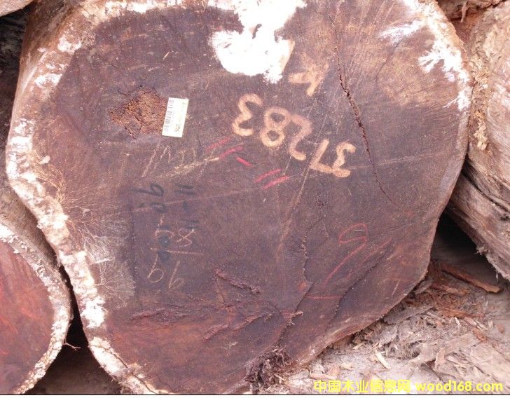 ���}���K��������ľ����̩��ԭľ��Ԕ��(x��)��B