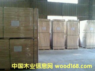 ɼľ���ɲĵ�Ԕ��(x��)��B