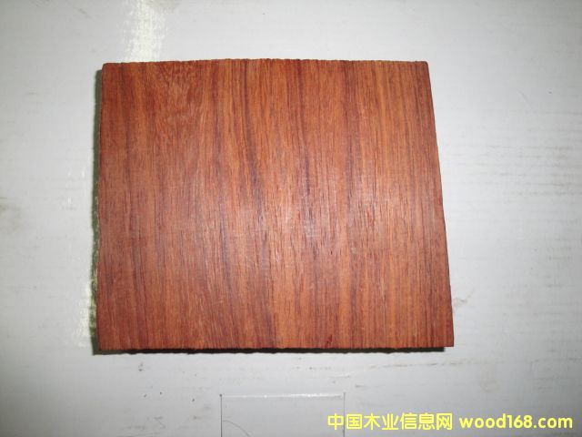 ����t��֦��Ԕ��(x��)��B