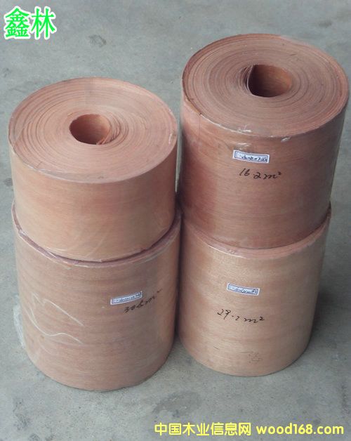 �t���ҟo(w��)����ľƤ��Ԕ��(x��)��B