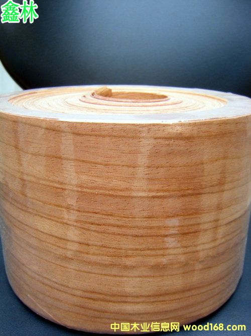 �tõ�����ľƤ��Ԕ��(x��)��B