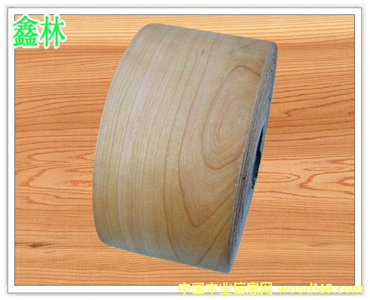 �o(w��)����ָ��ľƤ��߅�l��Ԕ��(x��)��B